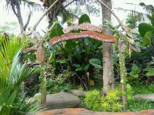 Kampung Flory Jogja