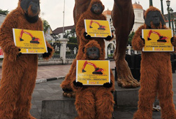 Aksi Protes untuk Menyelamatkan Orangutan Aksi Protes untuk Menyelamatkan Orangutan