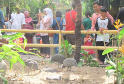 Taman Burung Raksasa di Gembiraloka Taman Burung Raksasa di Gembiraloka