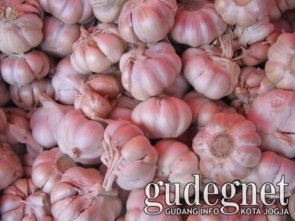 Cegah Kanker Lidah, Coba Bawang Putih Donk Cegah Kanker Lidah, Coba Bawang Putih Donk