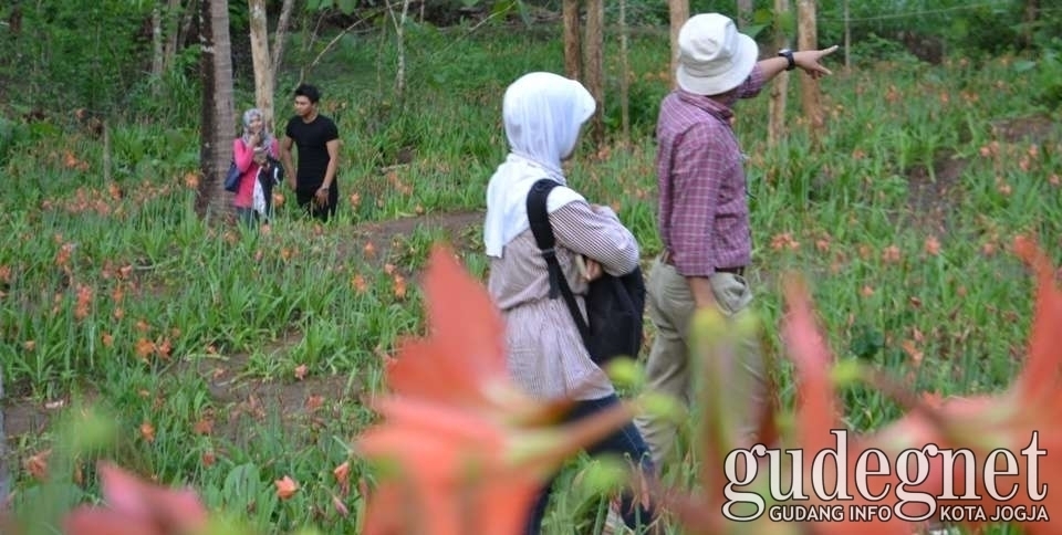 Soal Bunga Lili, Tahun Depan Dah Ada Small Path-nya Soal Bunga Lili, Tahun Depan Dah Ada Small Path-nya