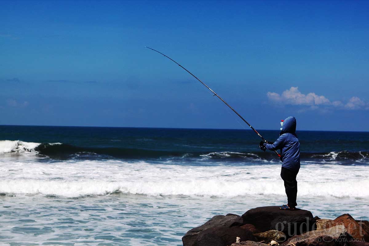 Pedagang Pantai Congot Yogyakarta Belum Berani Hidup Dari Sektor Wisata Pedagang Pantai Congot Yogyakarta Belum Berani Hidup Dari Sektor Wisata