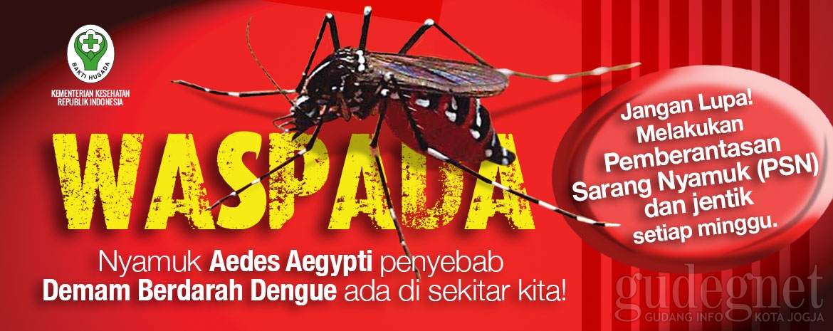 Waspada Dengue Dalam Era JKN oleh dr. FX. Wikan Indrarto Waspada Dengue Dalam Era JKN oleh dr. FX. Wikan Indrarto