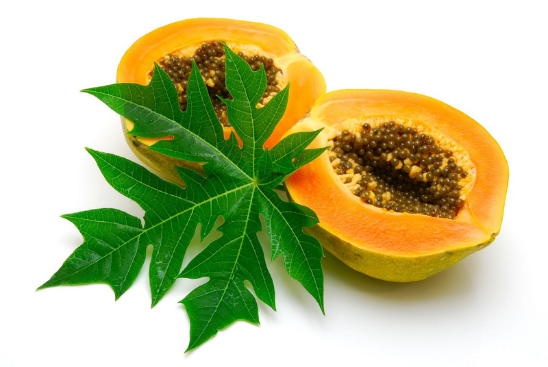 Tips Menghilangkan Rasa Pahit Pada Daun Pepaya Tips Menghilangkan Rasa Pahit Pada Daun Pepaya
