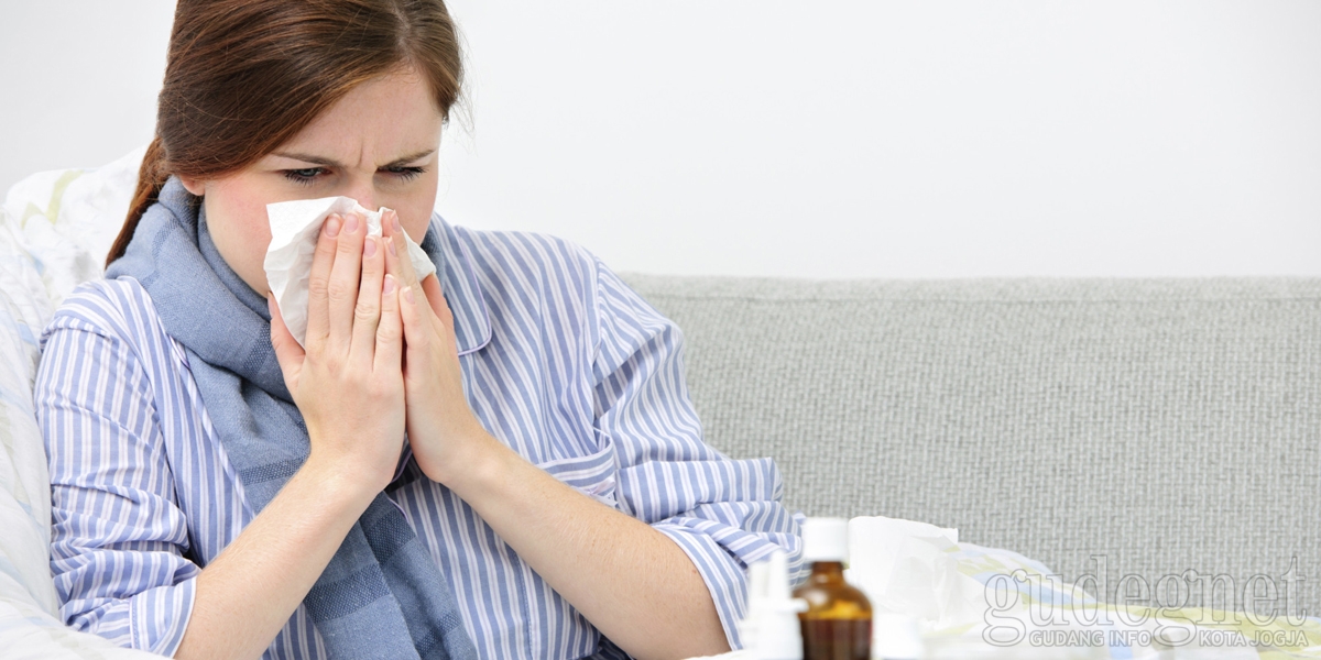 5 Tips Mengobati Flu Secara Alami 5 Tips Mengobati Flu Secara Alami