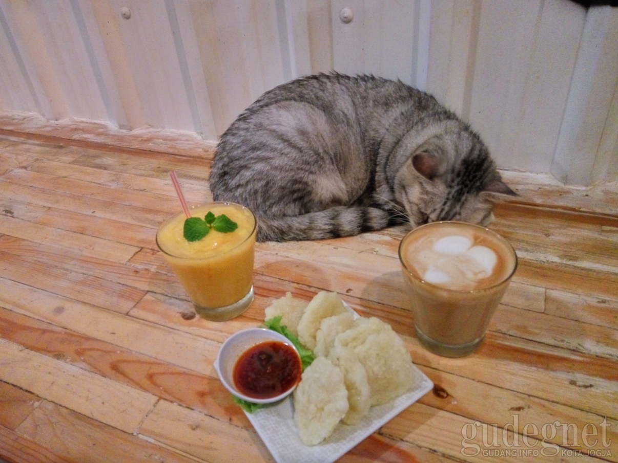Cats and Coffee, Kopi di Antara Kucing Cats and Coffee, Kopi di Antara Kucing