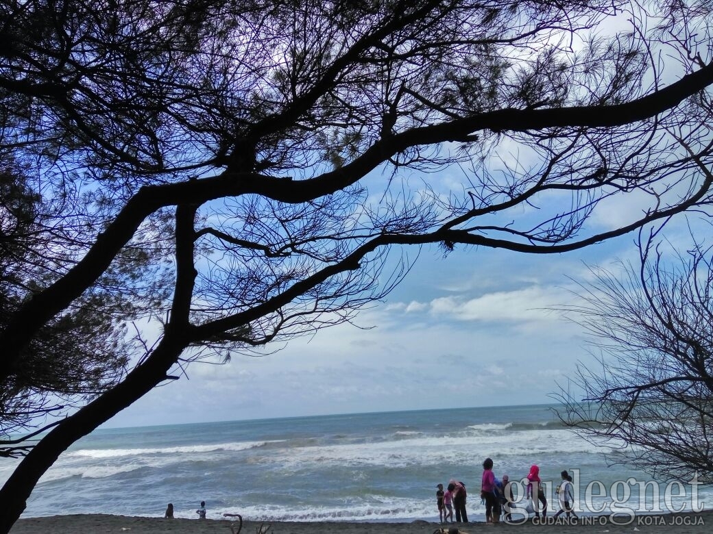 Liburan Ke Jogja? 5 Pantai di Bantul Ini Jangan Sampai Terlewatkan Liburan Ke Jogja? 5 Pantai di Bantul Ini Jangan Sampai Terlewatkan