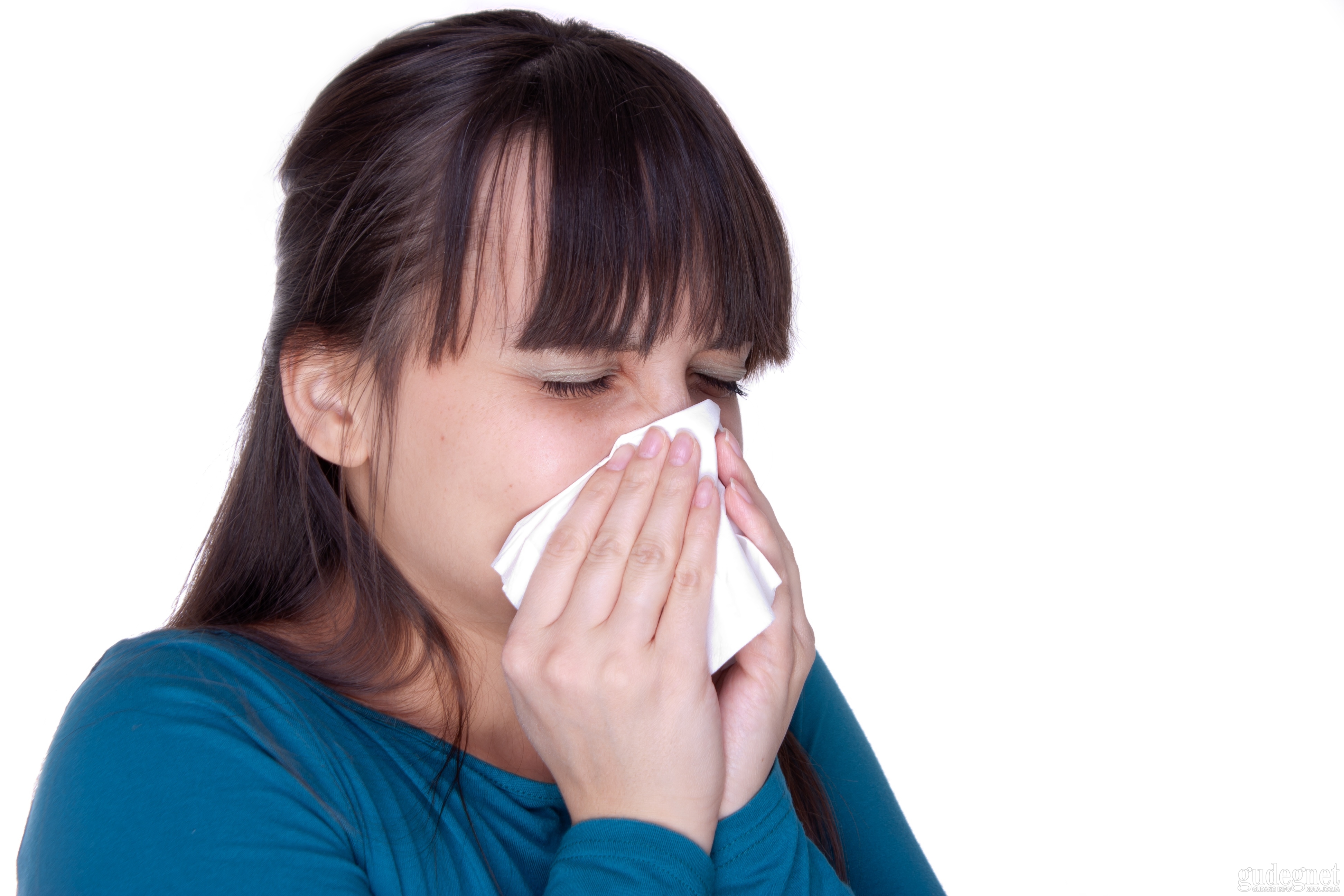 Tips Meredakan Flu Tips Meredakan Flu