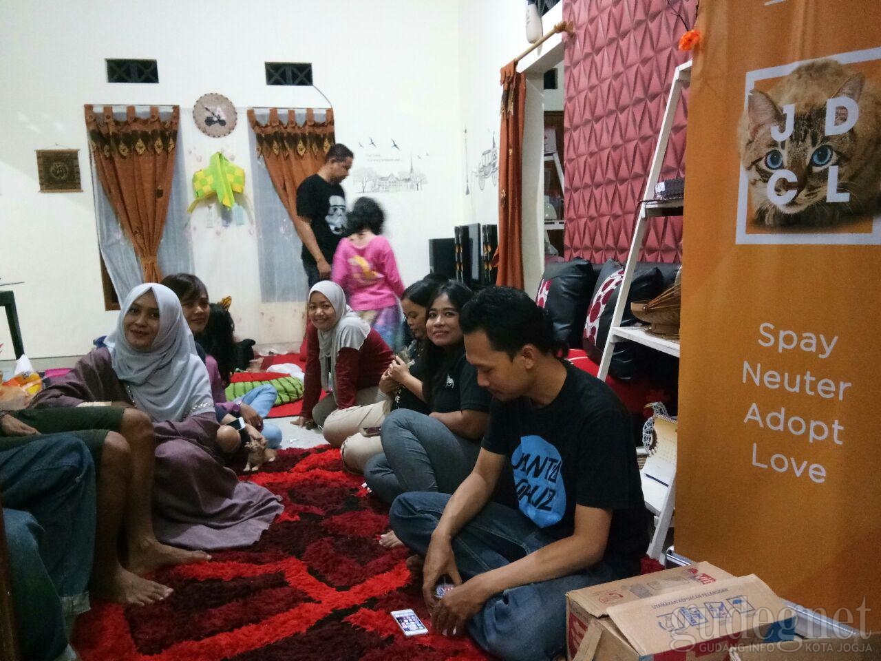 Jogja Domestic Cat Lovers, Mencintai Kucing Tanpa Pandang Bulu Jogja Domestic Cat Lovers, Mencintai Kucing Tanpa Pandang Bulu