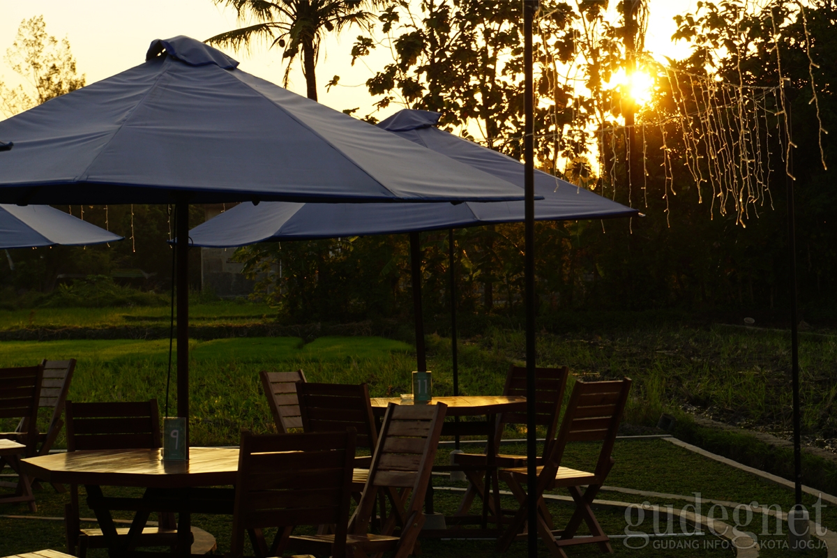Menikmati Sunset dan Sawah di Kunvenu Menikmati Sunset dan Sawah di Kunvenu