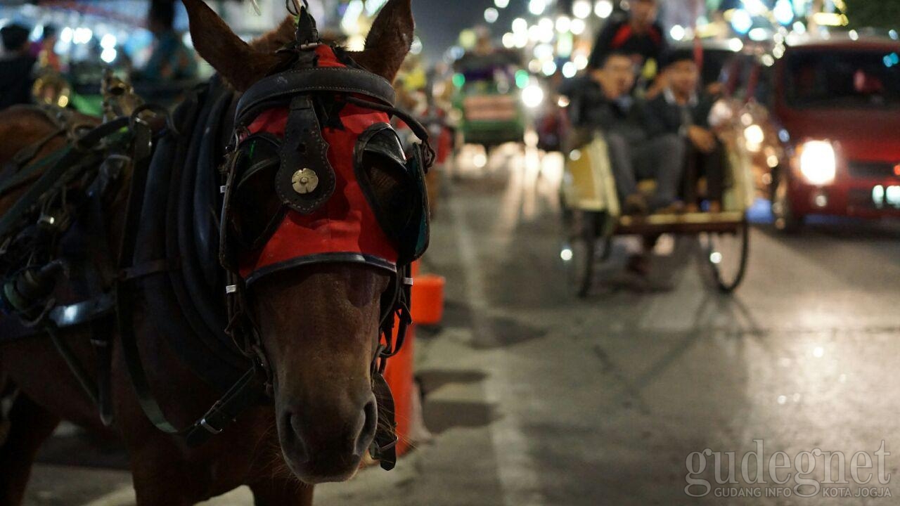 Nasib Andong dan Becak Saat Lalin Malioboro Dirombak Nasib Andong dan Becak Saat Lalin Malioboro Dirombak