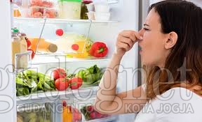 Menghilangkan Bau Tidak Sedap di Kulkas Menghilangkan Bau Tidak Sedap di Kulkas