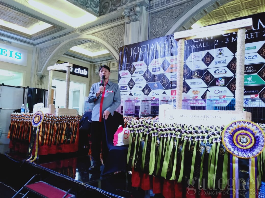 Jogjakarta Cat Championship 2019, Ajang Belajar dan Berinteraksi Pencinta Kucing Jogjakarta Cat Championship 2019, Ajang Belajar dan Berinteraksi Pencinta Kucing