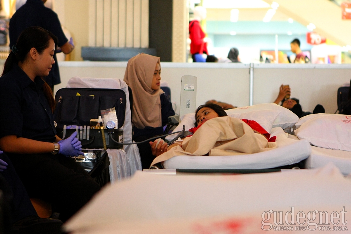 Cek Jadwal Donor Darah Pekan Ini Di Sini Cek Jadwal Donor Darah Pekan Ini Di Sini