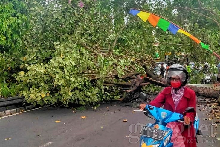 Hati-hati, Cuaca Buruk Diperkirakan Masih Terjadi di DIY Hati-hati, Cuaca Buruk Diperkirakan Masih Terjadi di DIY