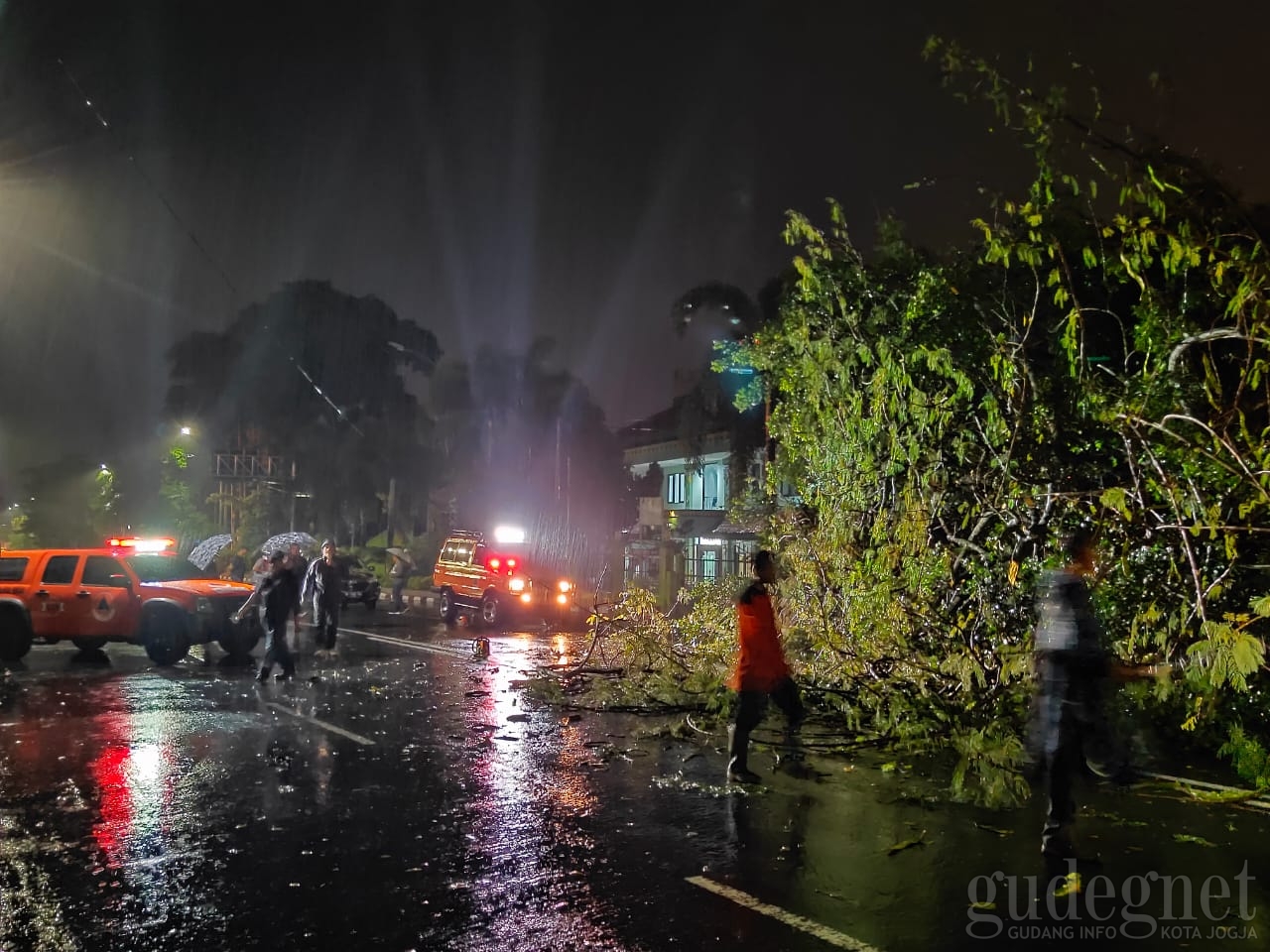 Senin Malam, Hujan dan Angin Kencang Akibatkan Pohon Tumbang Senin Malam, Hujan dan Angin Kencang Akibatkan Pohon Tumbang