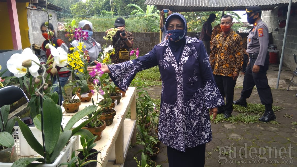 Wisata Penangkaran dan Edukasi Anggrek Kaliurang Diresmikan Wabup Sleman Wisata Penangkaran dan Edukasi Anggrek Kaliurang Diresmikan Wabup Sleman