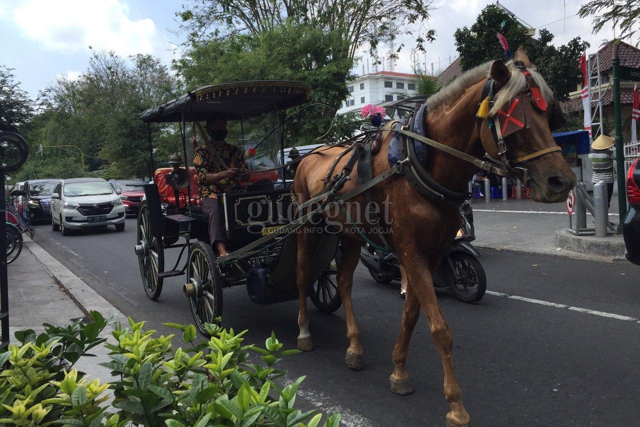 Cuaca DIY Selasa 25 Agustus 2020, Cerah hingga Berawan Cuaca DIY Selasa 25 Agustus 2020, Cerah hingga Berawan