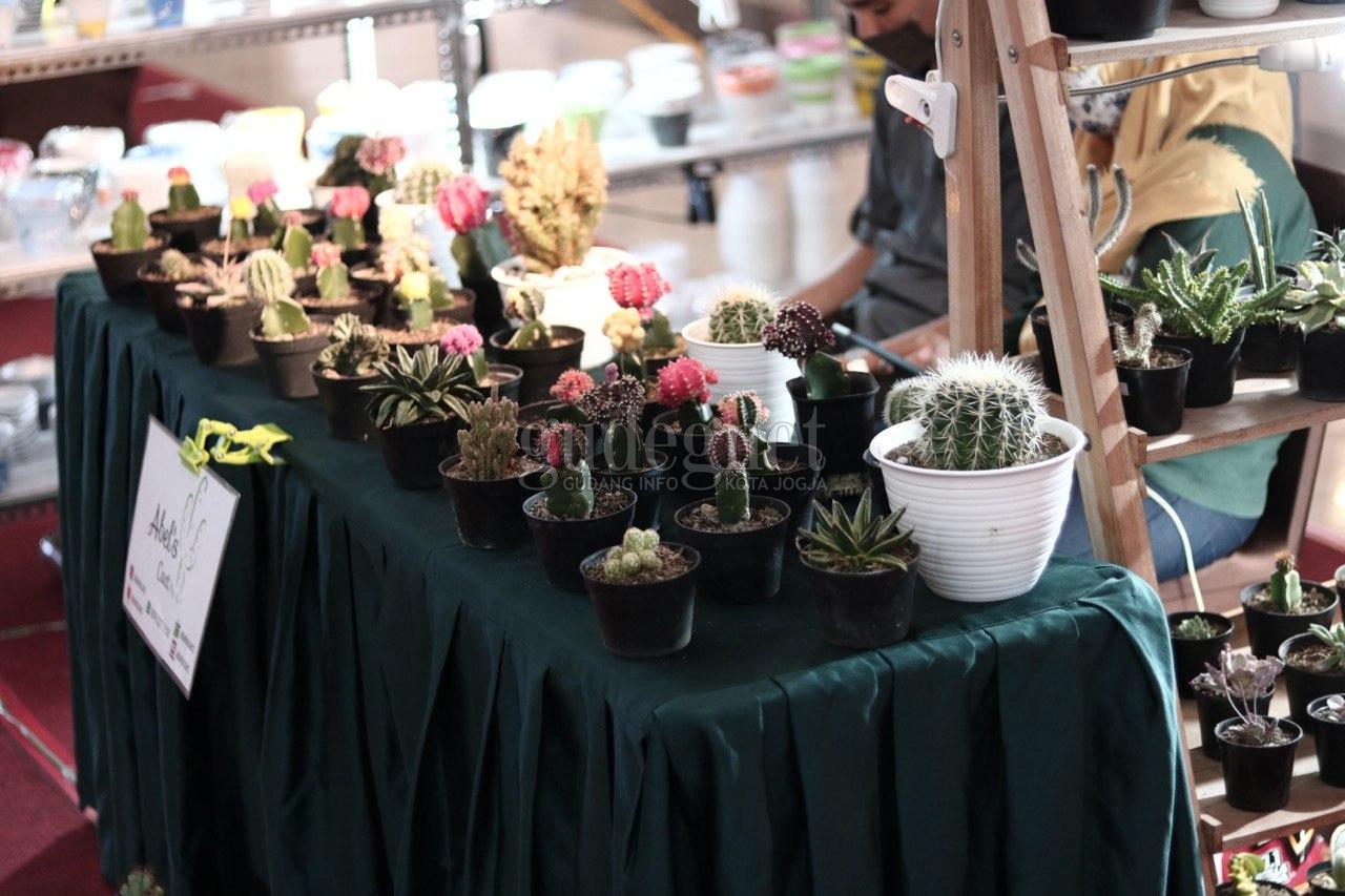 ‘Plant Lovers’ Hadirkan Pameran hingga Workshop Tanaman Hias ‘Plant Lovers’ Hadirkan Pameran hingga Workshop Tanaman Hias