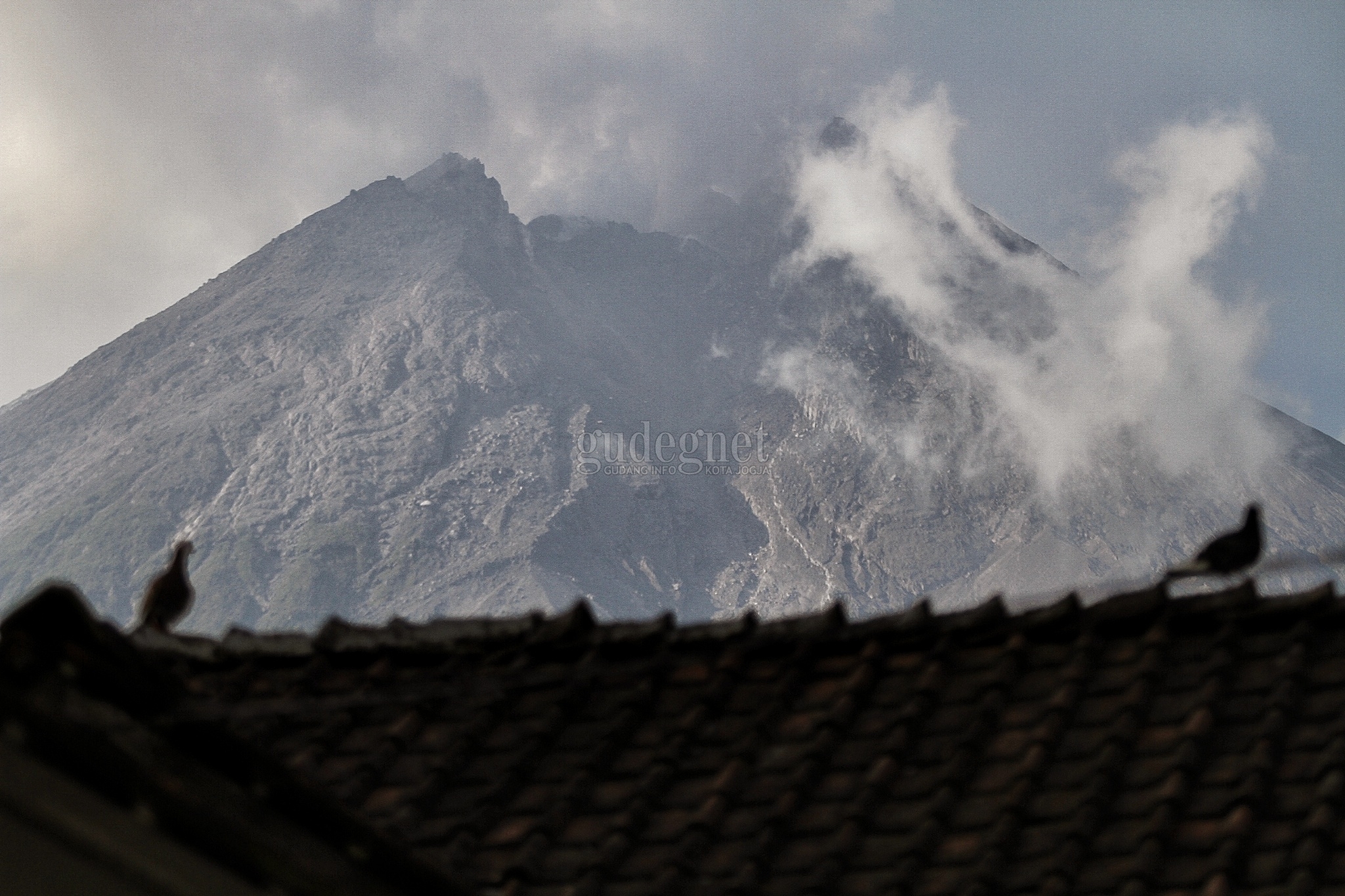 Merapi Keluarkan Guguran Lava 3.000 Meter, Ini Penjelasan BPPTKG Merapi Keluarkan Guguran Lava 3.000 Meter, Ini Penjelasan BPPTKG