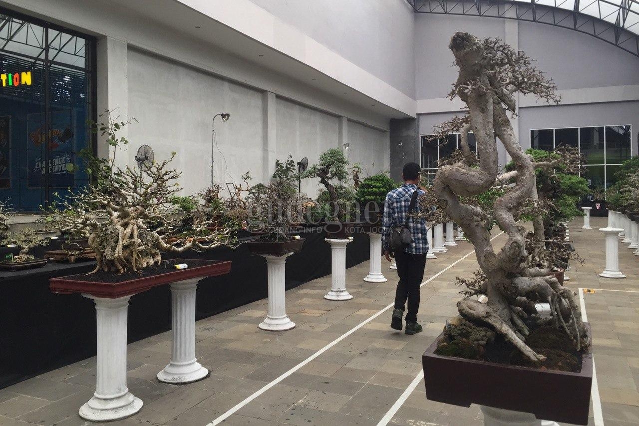 Pameran Bonsai Hiasi Garden SCH Pameran Bonsai Hiasi Garden SCH