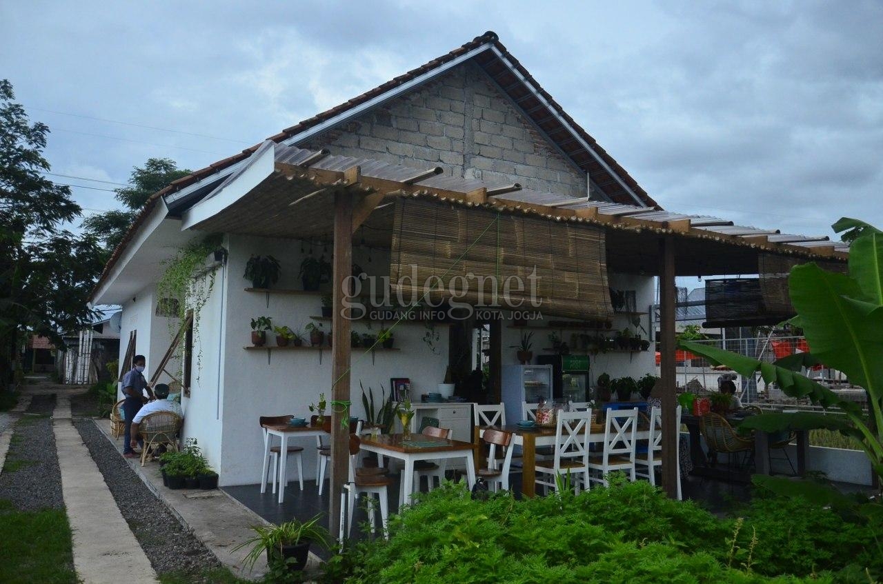 Pagi Padi Mentari Kafe, Pemandangan Alam dan Menu Sehat Pagi Padi Mentari Kafe, Pemandangan Alam dan Menu Sehat