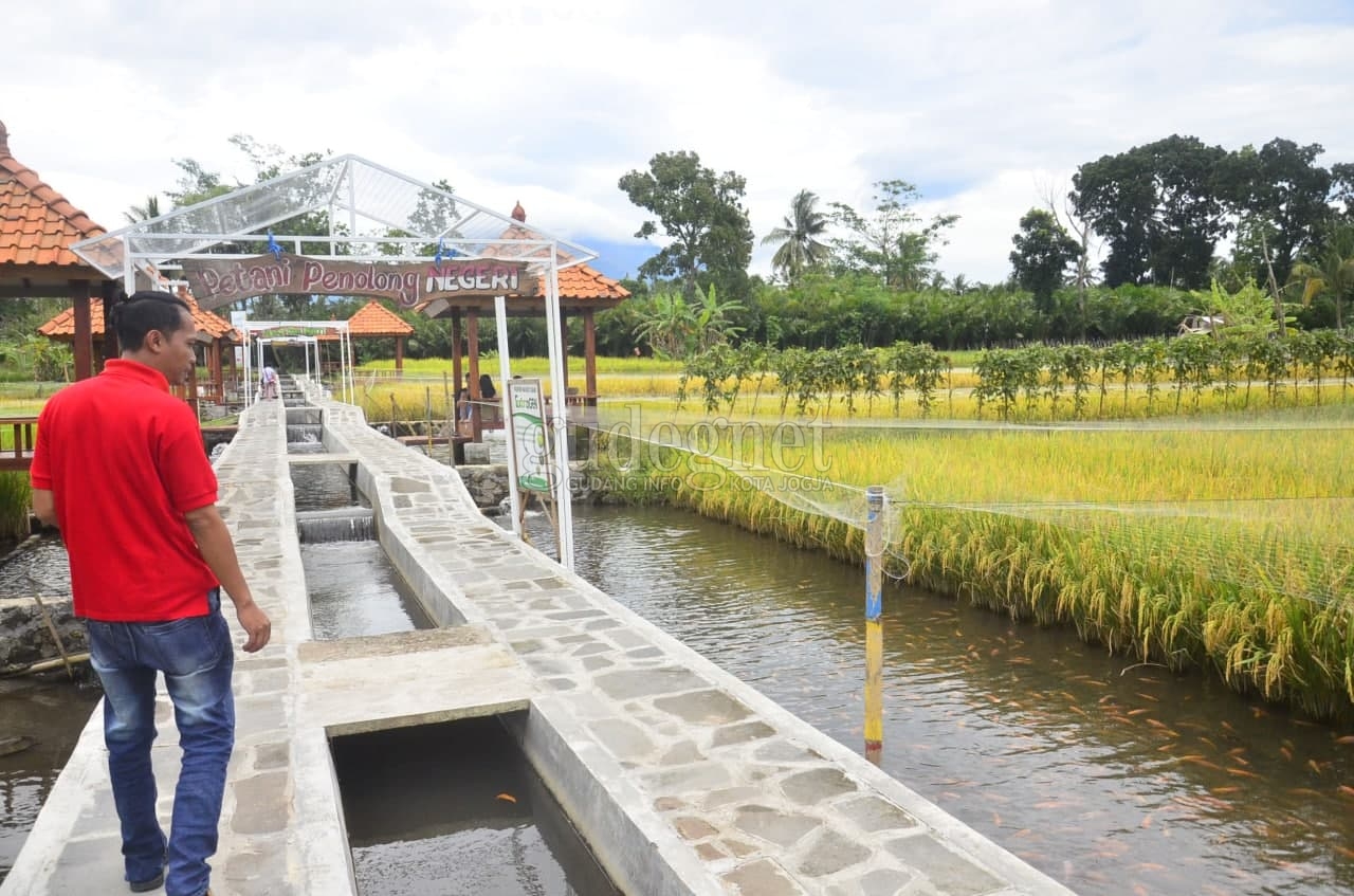 Kampung Mina Padi, Wisata Seru dan Edukatif Kampung Mina Padi, Wisata Seru dan Edukatif