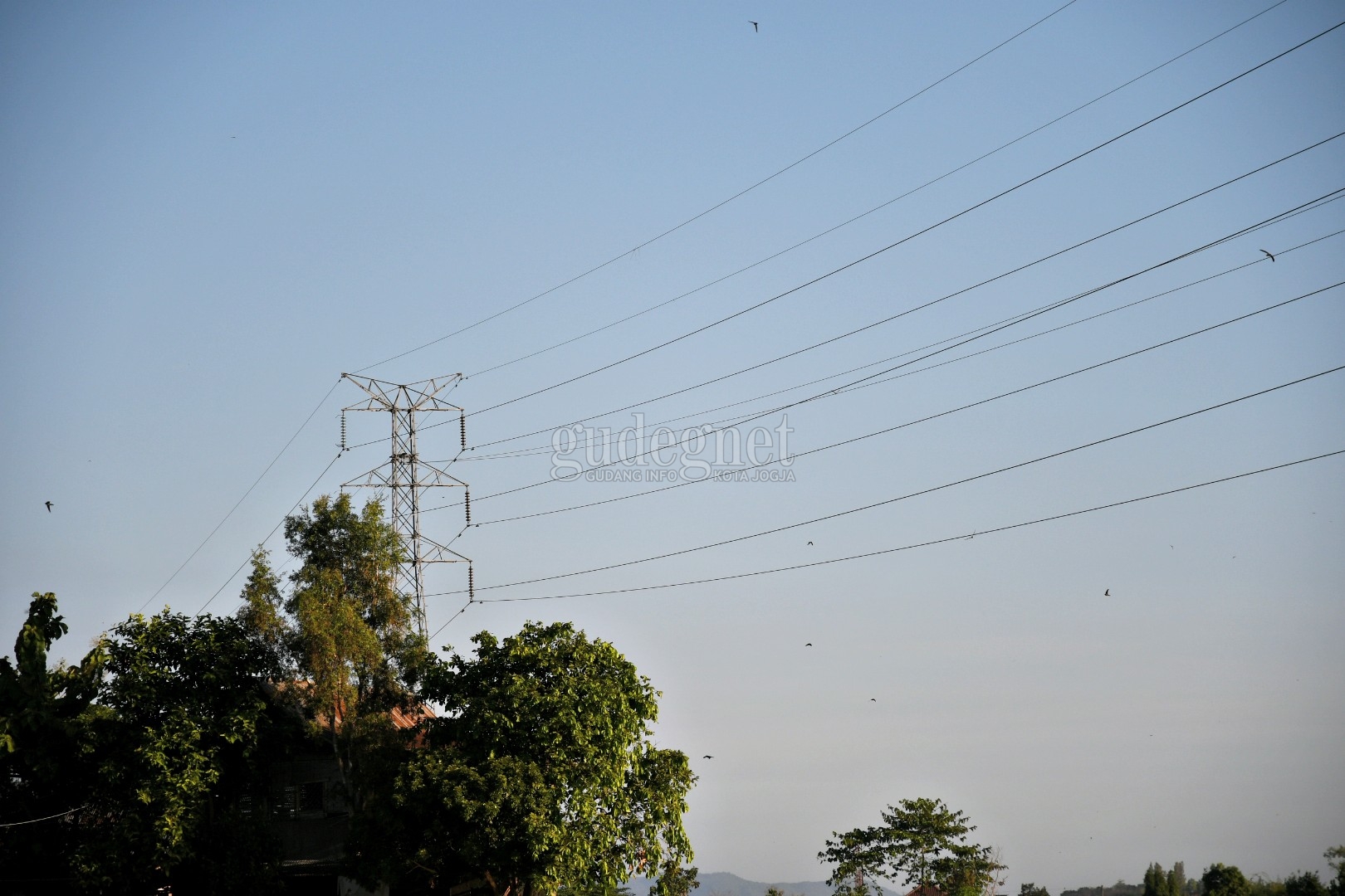 Pemadaman dan Pemeliharaan Listrik Senin, 1 Maret 2021 Pemadaman dan Pemeliharaan Listrik Senin, 1 Maret 2021