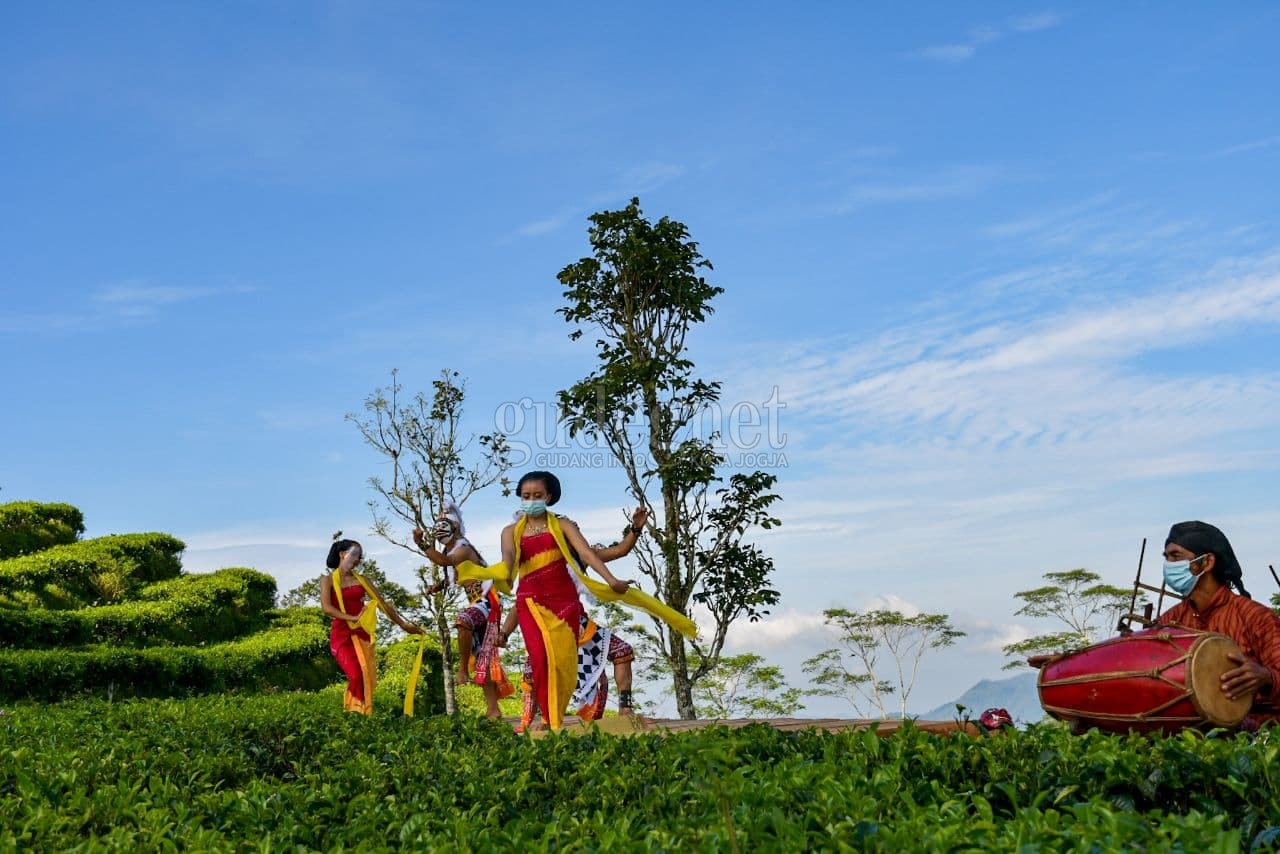 Wisata ke Nglinggo Bisa Lihat Bidadari Menari di Atas Daun Teh Wisata ke Nglinggo Bisa Lihat Bidadari Menari di Atas Daun Teh