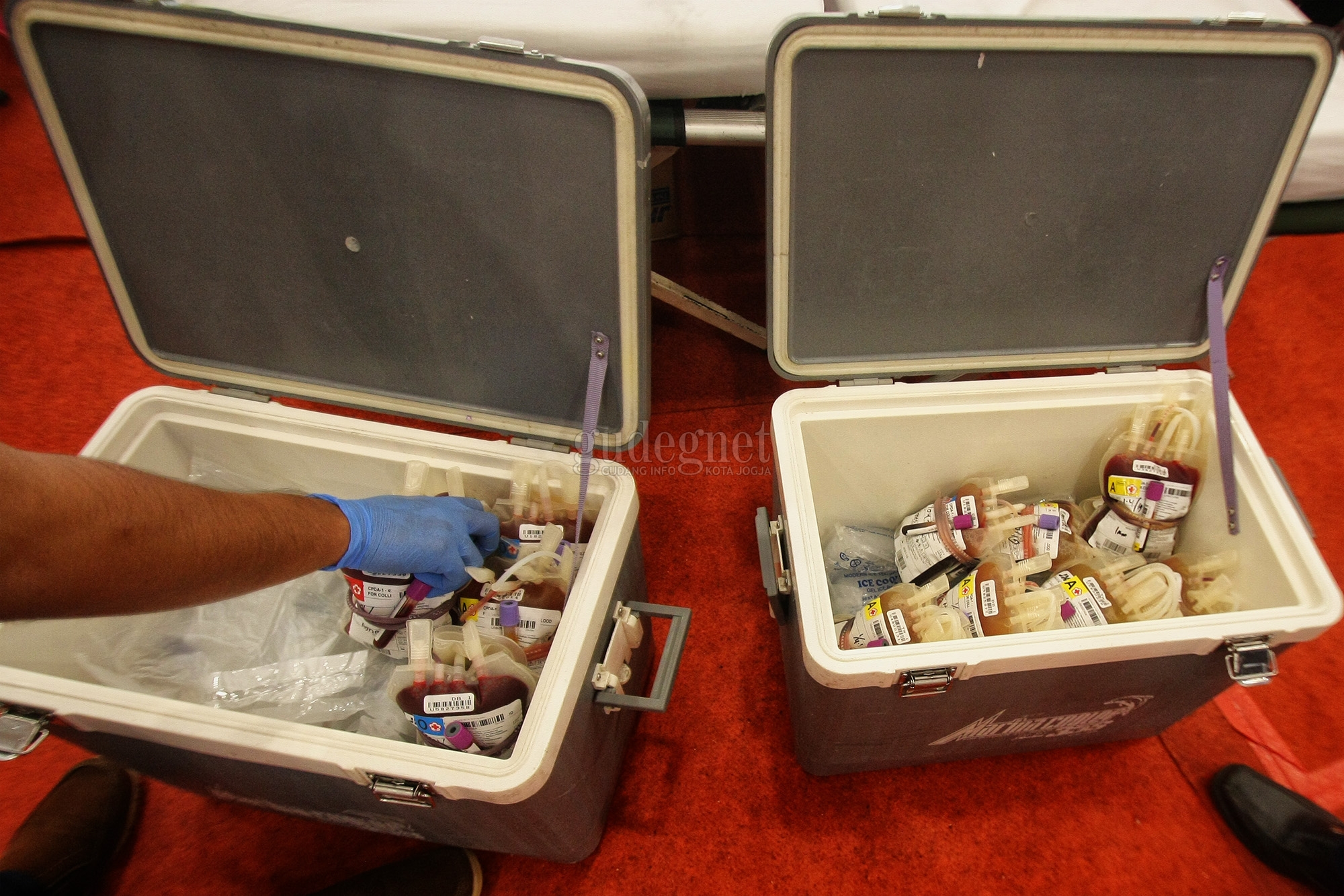 Stok Darah PMI Se-DIY, Kamis 17 Juni 2021 Stok Darah PMI Se-DIY, Kamis 17 Juni 2021