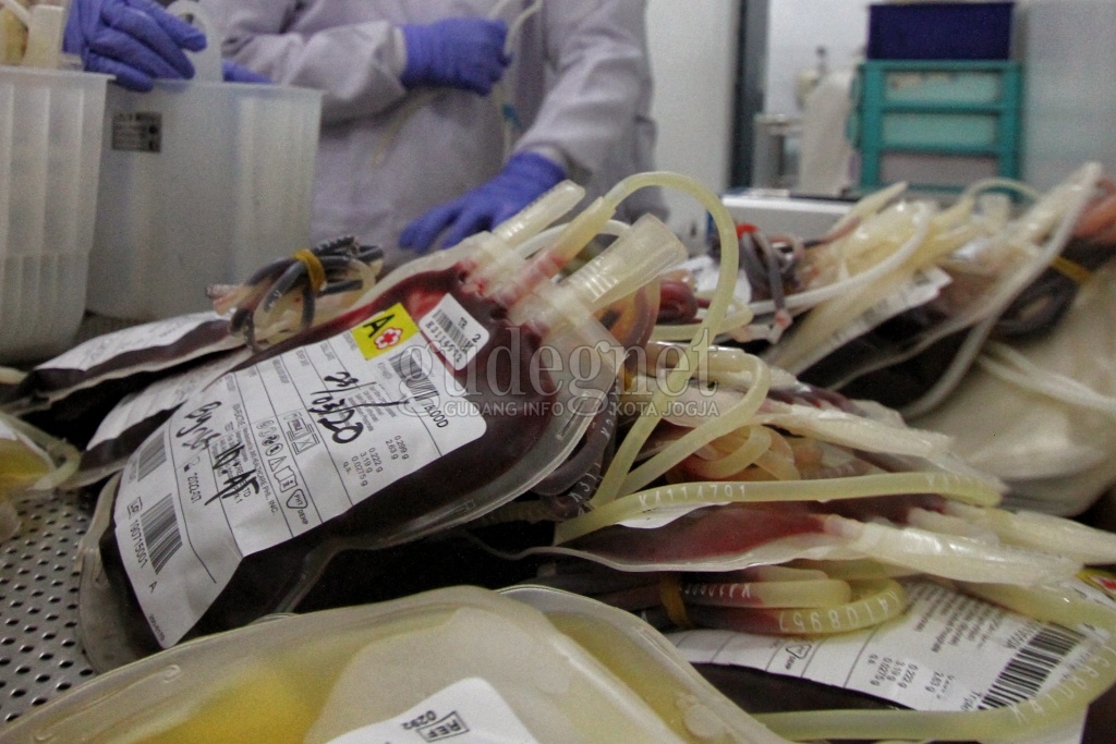 Stok Darah PMI Se-DIY, Rabu 28 Juli 2021 Stok Darah PMI Se-DIY, Rabu 28 Juli 2021