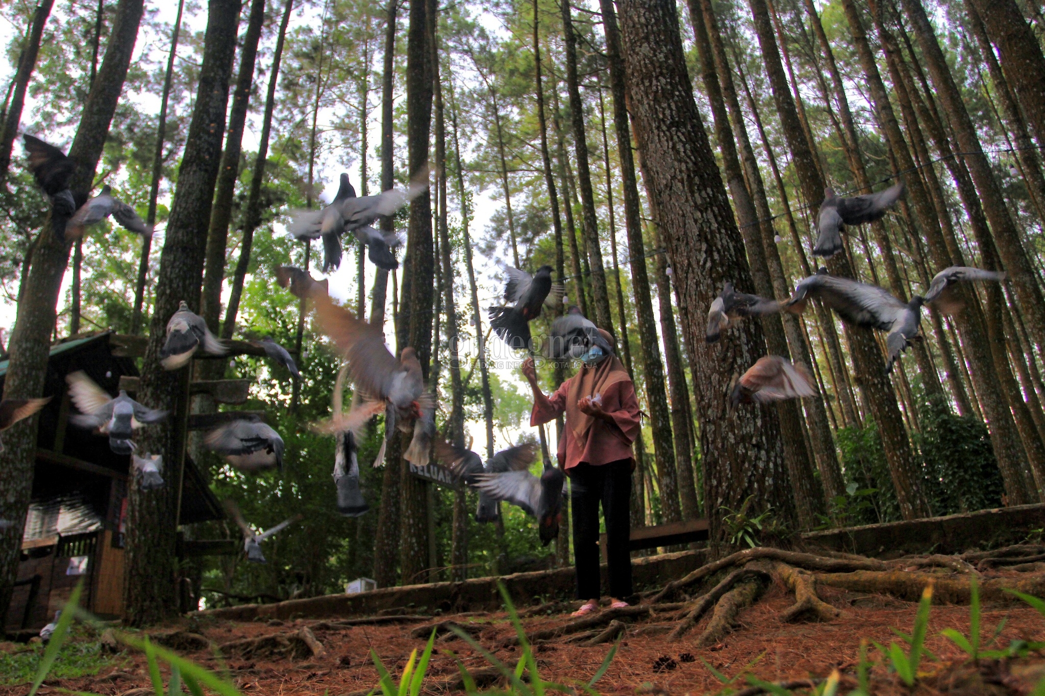 Pembukaan Objek Wisata, Ini Pandangan Epidemiolog Pembukaan Objek Wisata, Ini Pandangan Epidemiolog